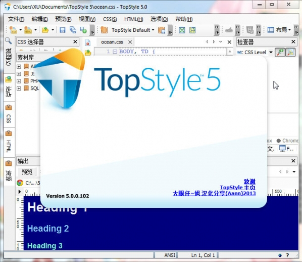 TopStyle Pro(CSS设计利器) v5.0.0.104中文版