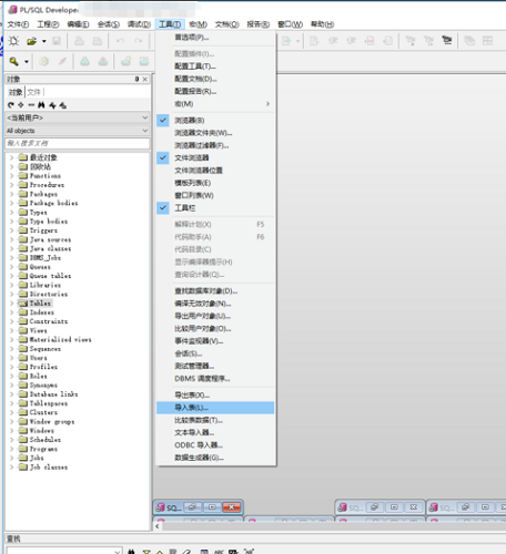oracle10g客户端精简绿色版截图